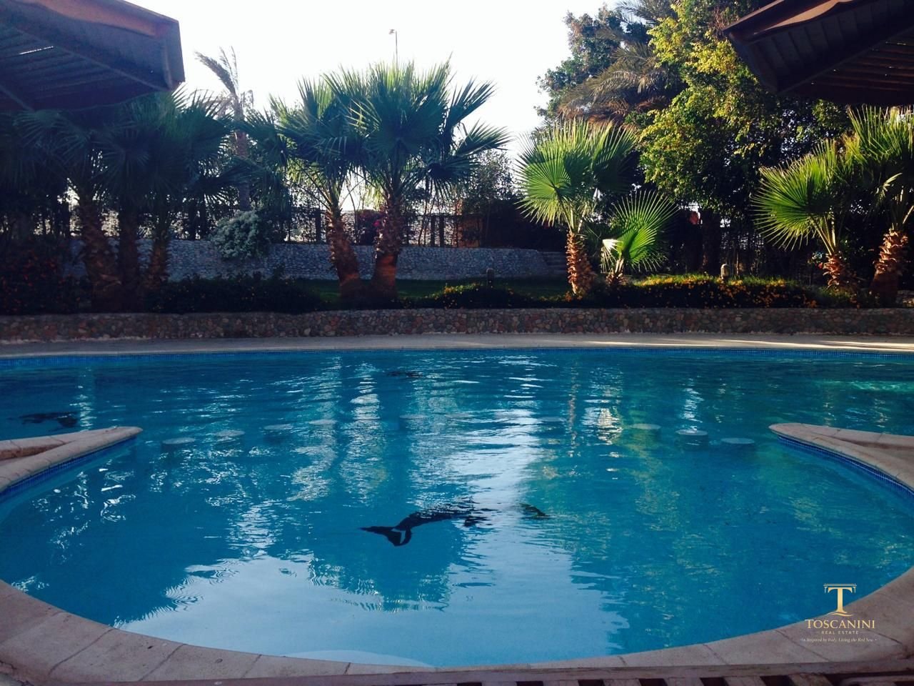 Luxury Villa for Sale – Prime Mubarak 6, Hurghada