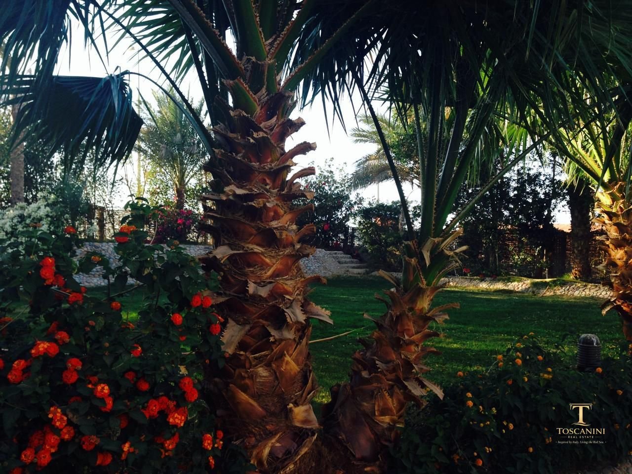 Luxury Villa for Sale – Prime Mubarak 6, Hurghada